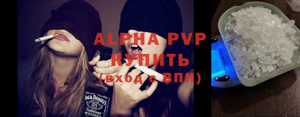таблы Бородино