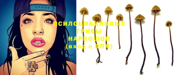 таблы Бородино