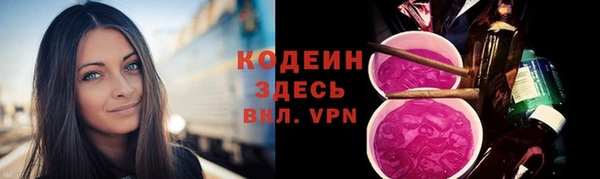 таблы Бородино