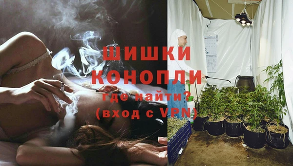 ешки Бронницы