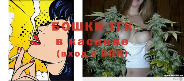 таблы Бородино