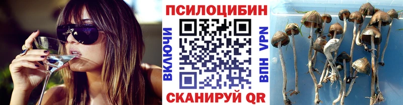 Галлюциногенные грибы Psilocybine cubensis  даркнет сайт  площадка клад  Буинск 